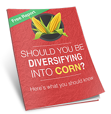 corn-diversify-cover