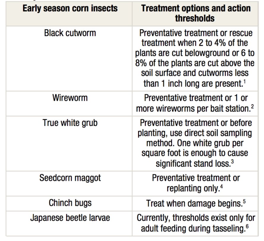 TableUntitled__Early_Season_Insects_of_Corn